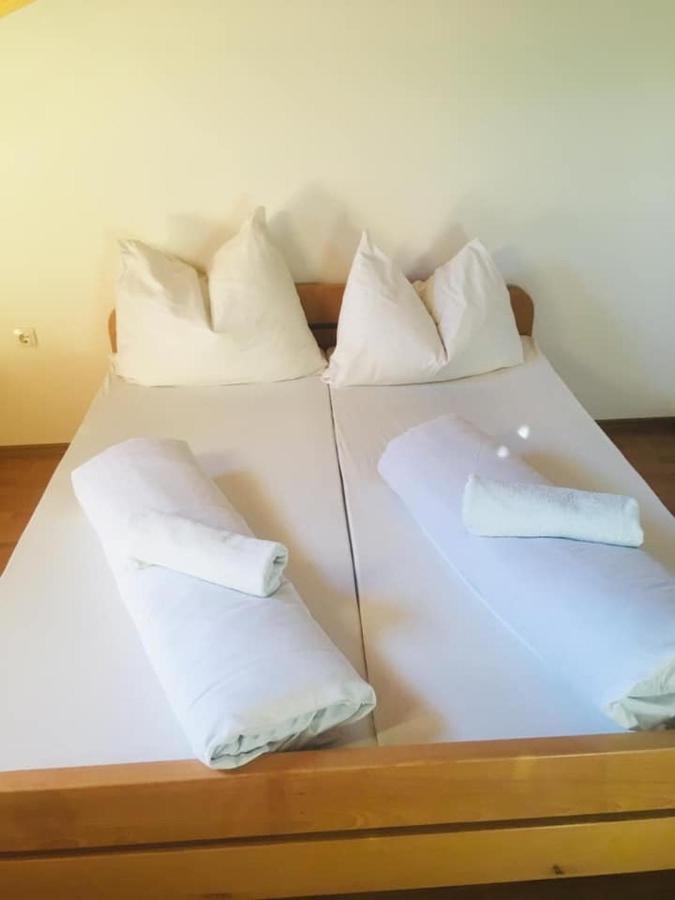 Omladinski Hotel Rostovo بوغوينو المظهر الخارجي الصورة